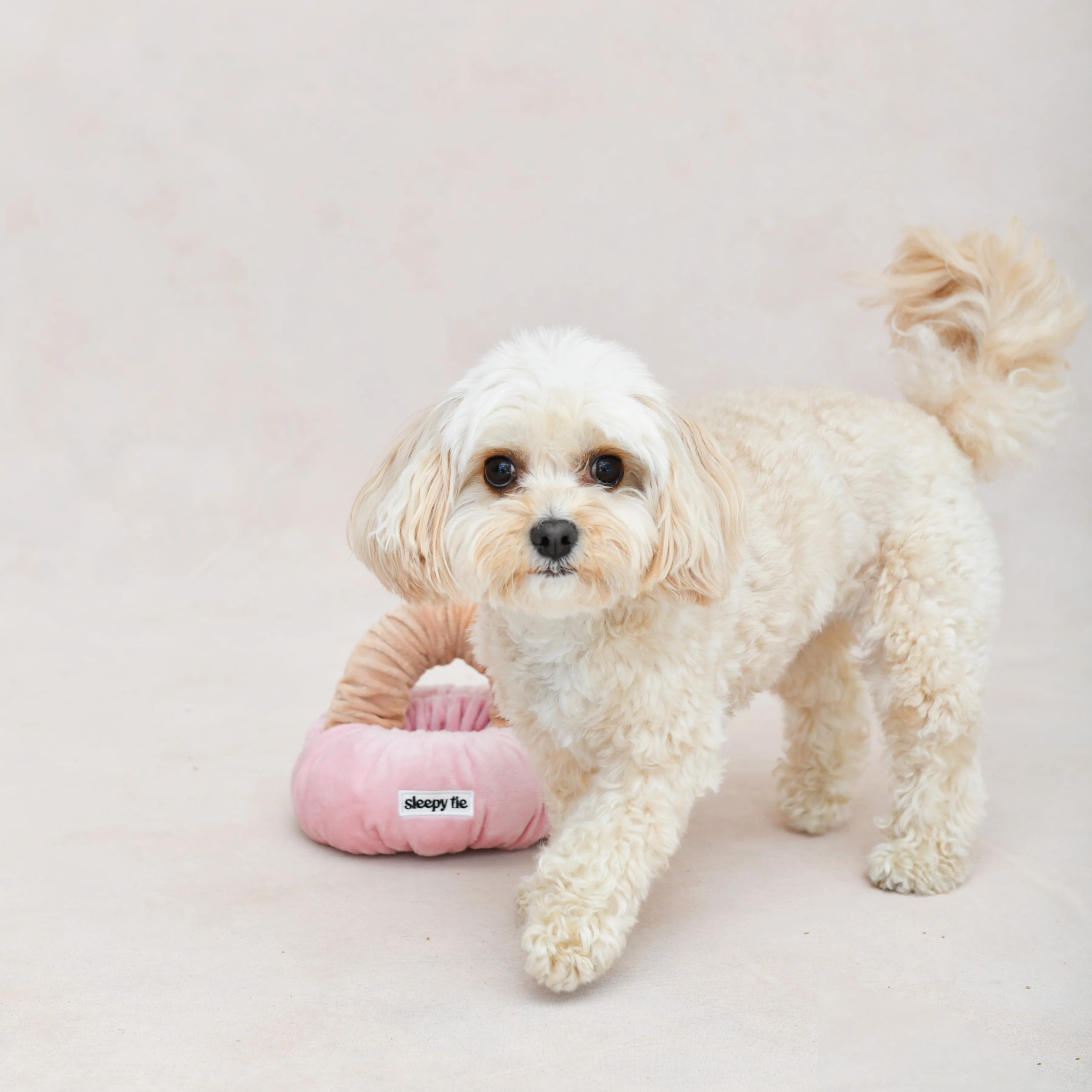 The Doggy Tie - Image 3